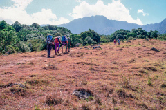w3 Mt-Meru-Aufstieg